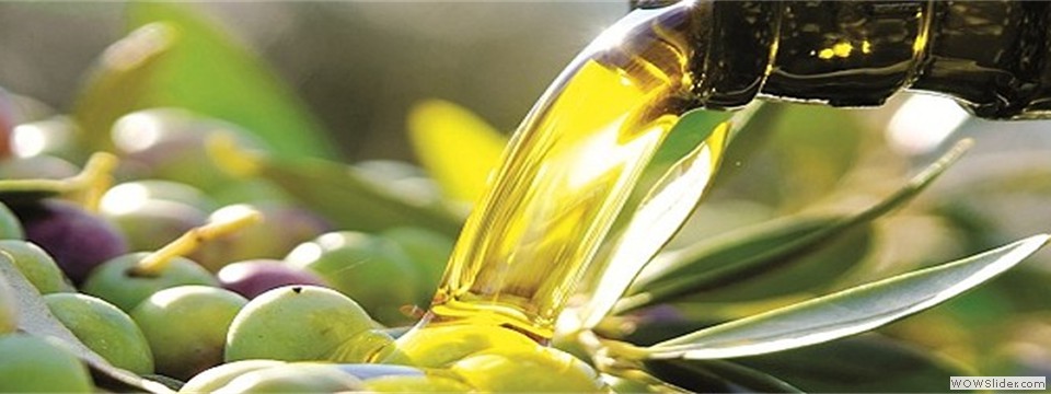 Olio e Olive Biologiche