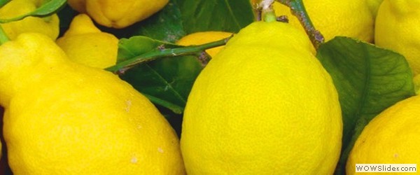 Limoni biologico